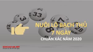 Lô nuôi 7 ngày - Cách nuôi lô khung chuẩn xác năm 2025